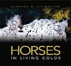Horses in Living Color - Barbara Livingston
