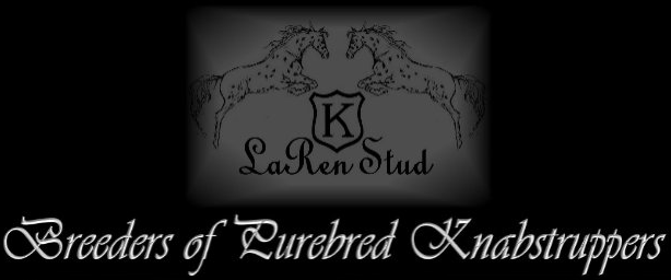 Laren Stud